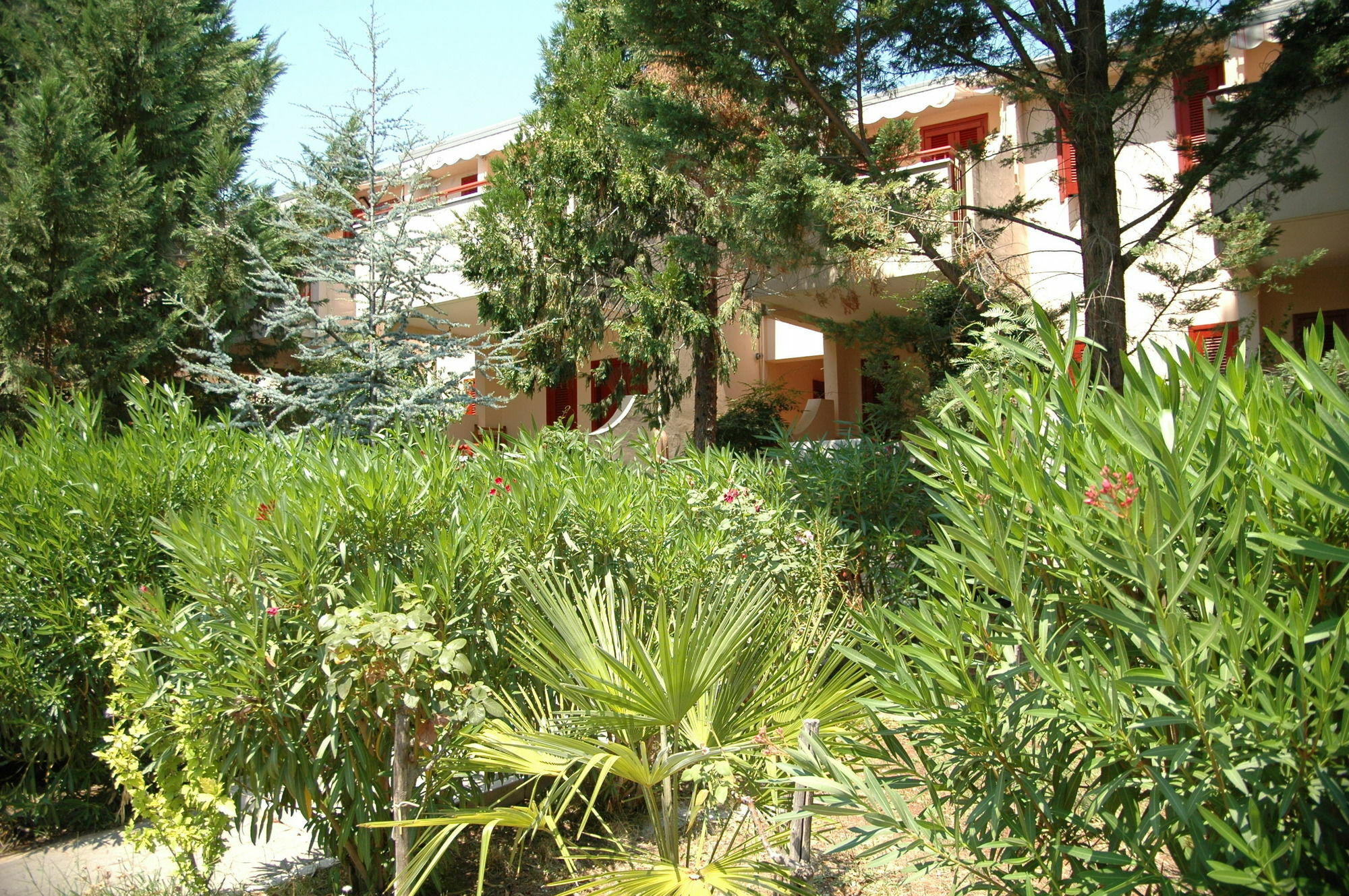 Residence Villa Agrimare 维耶斯泰 外观 照片